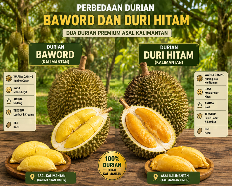 Inilah Perbedaan Durian Duri Hitam dan Bawor, Mana yang Lebih Nikmat ?