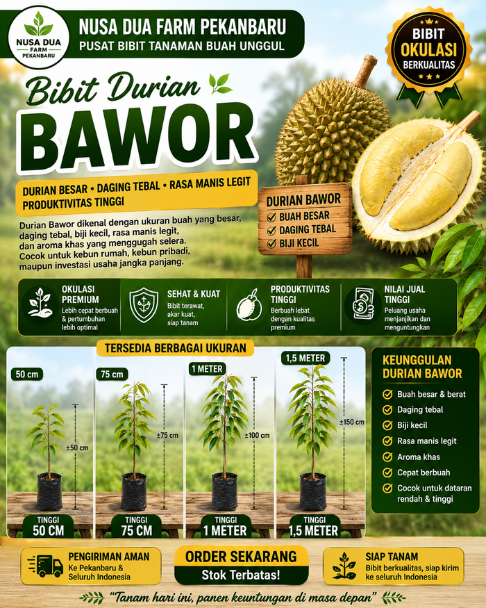 Jual Bibit Durian Bawor Pekanbaru