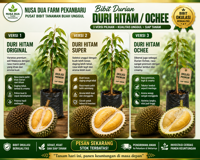 Jual Bibit Durian Bawor Pekanbaru